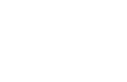 Fidelity